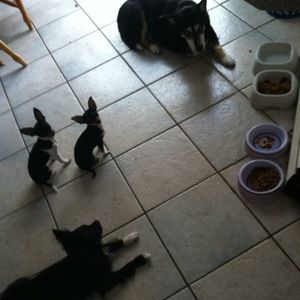 Meet your Posher, Sandra